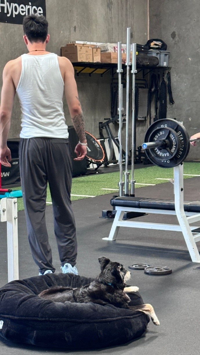 开云官方网站-张镇麟社媒晒近况：康复🏋️ 摄影📷 当教父👶